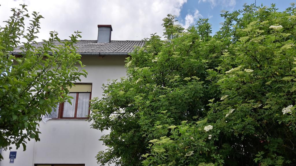 House Petkovic Hotel Korenica Exterior foto